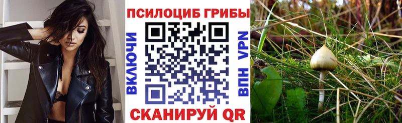 Галлюциногенные грибы Cubensis  Вологда 